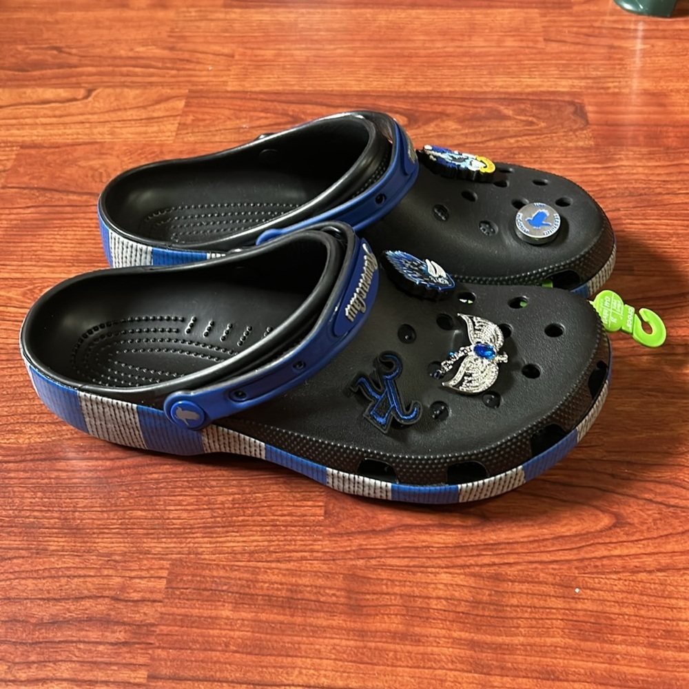 CROCS Harry Potter Ravenclaw Classic Clog US Size M10/W12 - Picture 3 of 11